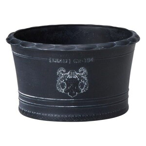 Aؔ  FV/VoEhSB/MS1399y01z K[fjOE|pi t[|bg 