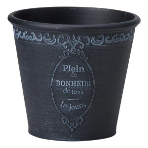 Aؔ  FV/sG[mT[NSB/MS1409y01z K[fjOE|pi t[|bg 