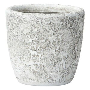 FV/M[T[NLLW/GF5133y01z K[fjOE|pi AؔEt[|bg OXt@Co[