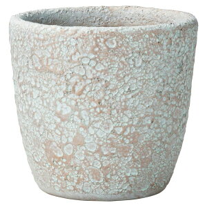 Aؔ  FV/M[T[NMGR/GF5205y01z K[fjOE|pi t[|bg OXt@Co[