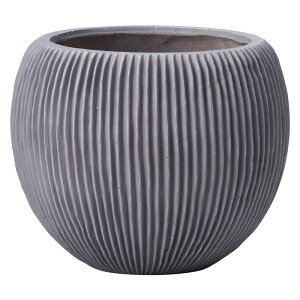 Aؔ  FV/[jo[eBJ{ESGY/GF6124y01z K[fjOE|pi t[|bg OXt@Co[