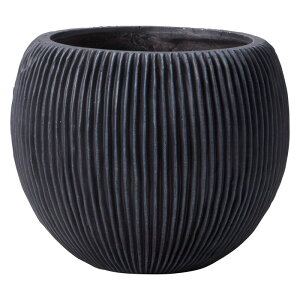 FV/[jo[eBJ{ESB/GF6127y01z K[fjOE|pi AؔEt[|bg OXt@Co[