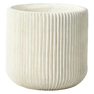 Aؔ  FV/[jo[eBJT[NMW/GF6131y01z K[fjOE|pi t[|bg OXt@Co[