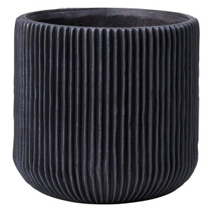 Aؔ  FV/[jo[eBJT[NSB/GF6136y01z K[fjOE|pi t[|bg OXt@Co[