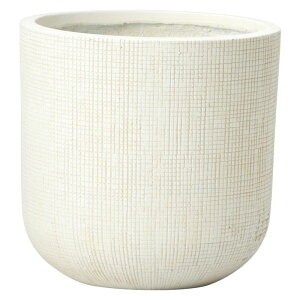 Aؔ  FV/}Zh[kEhSW/GF5138y01z K[fjOE|pi t[|bg OXt@Co[