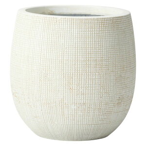 Aؔ  FV/}Zh[k{EMW/GF5151y01z K[fjOE|pi t[|bg OXt@Co[