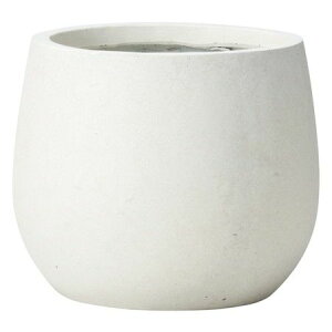 Aؔ  FV/Ju[Y{EMW/GF5177y01z K[fjOE|pi t[|bg OXt@Co[