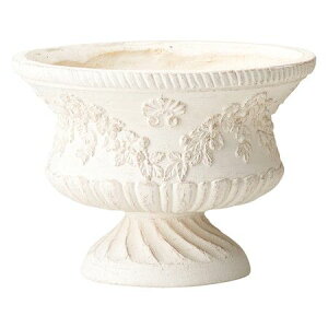 Aؔ  FV/tB[WEhJbvMW/GF4841y01z K[fjOE|pi t[|bg OXt@Co[