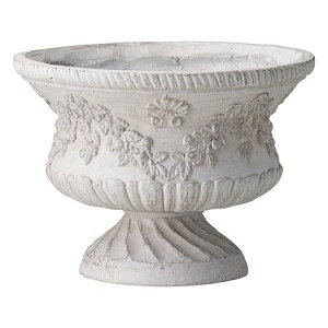 Aؔ  FV/tB[WEhJbvSGY/GF4842y01z K[fjOE|pi t[|bg OXt@Co[