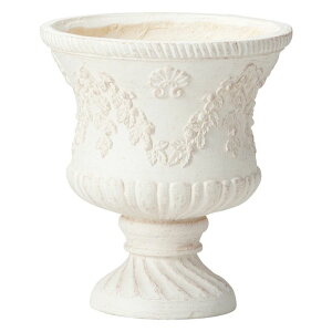 Aؔ  FV/tB[WJbvSW/GF4846y01z K[fjOE|pi t[|bg OXt@Co[