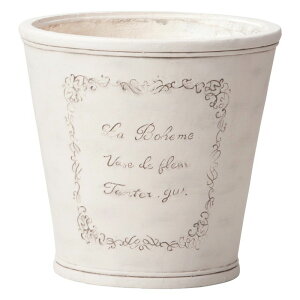 Aؔ  FV/{w[T[NMW/GF4868y01z K[fjOE|pi t[|bg OXt@Co[