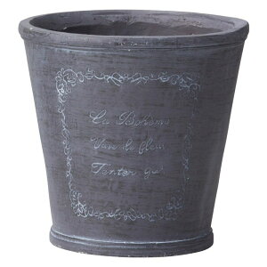 Aؔ  FV/{w[T[NSB/GF4871y01z K[fjOE|pi t[|bg OXt@Co[