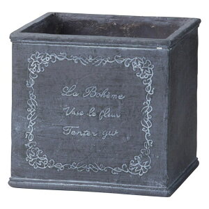 Aؔ  FV/{w[XNGASB/GF4889y01z K[fjOE|pi t[|bg OXt@Co[