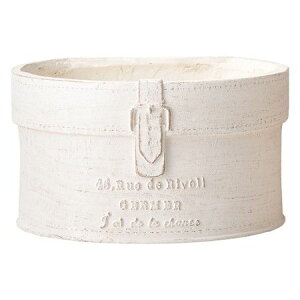 Aؔ  FV/WF|bgMW/GF4856y01z K[fjOE|pi t[|bg OXt@Co[