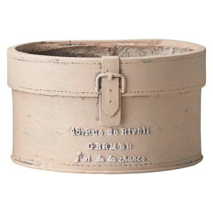 Aؔ  FV/WF|bgSBE/GF4857y01z K[fjOE|pi t[|bg OXt@Co[