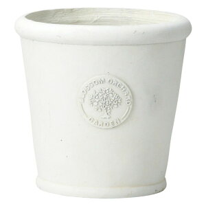 Aؔ  FV/ubTT[NSW/GF5109y01z K[fjOE|pi t[|bg OXt@Co[