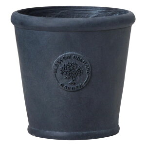 Aؔ  FV/ubTT[NSB/GF5110y01z K[fjOE|pi t[|bg OXt@Co[