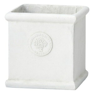 Aؔ  FV/ubTXNGASW/GF5111y01z K[fjOE|pi t[|bg OXt@Co[