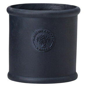 Aؔ  FV/ubTEhMB/GF5213y01z K[fjOE|pi t[|bg OXt@Co[