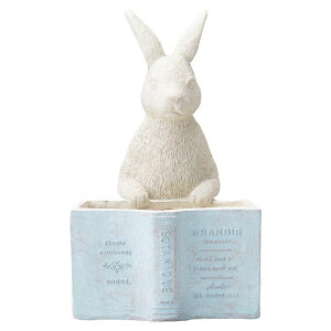 Aؔ  FV/[p|bgBL/GF4838y01z K[fjOE|pi t[|bg OXt@Co[