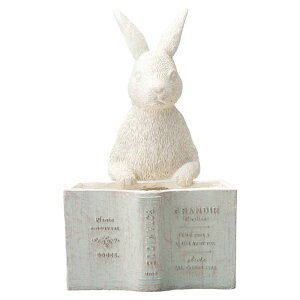 Aؔ  FV/[p|bgGR/GF4839y01z K[fjOE|pi t[|bg OXt@Co[