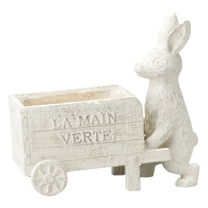 Aؔ  FV/pJ[g/GF4893y01z K[fjOE|pi t[|bg OXt@Co[