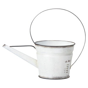 Aؔ  FV/~GW[W/UN2177y01z K[fjOE|pi t[|bg ACAEuL