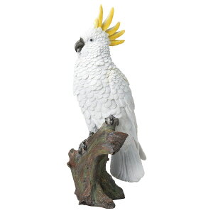 FV/N[gyPMW/7K702y01z K[fjOE|pi K[fjOG݁EI[ig uEI[ig