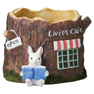 Aؔ  FV/[uJtF|bg/5E4283y01z K[fjOE|pi t[|bg W