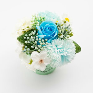 HillTop/\[vuLAW/SM-5157y01z[6] vU[uht[ tOX\[vt[ \[vt[i