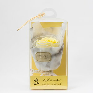 �y�\�[�v�t�����[�zHillTop/�������[�Y�v�`�u�[�P/SM-5906�y01�z[6��] �v���U�[�u�h�t�����[ �t���O�����X�\�[�v�t�����[ �\�[�v�t�����[�����i