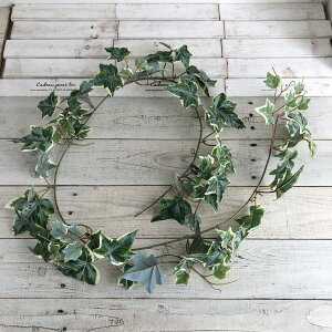 yԁzAXJ/ACr[K[h @QCgO[/A-43824-51Vy01z ԁiA[eBtBVt[j ԗtAtFCNO[ ACr[