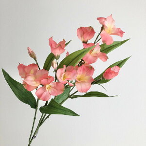 yԁzAXJ/AXgA×11 ڂ×8 R[/A-34481-13Ay01z ԁiA[eBtBVt[j  ԍށusv AXgA