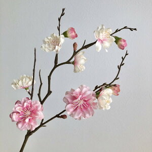 yԁzAXJ/ԓ×7 ڂ×6 c[gsN/A-34772-3Ty01z ԁiA[eBtBVt[j  ԍށu܍sv ij