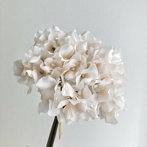 yԁzAXJ/nChWAo`(13{) AC{[zCg/A-34728-91Wy01z ԁiA[eBtBVt[j  ԍށusv izԁj