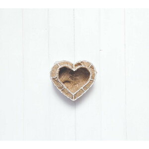 哯Ntg/bVv^[ n[gXtBAS AC{[/FMP25-BH15y01z[4] K[fjOE|pi v^[ [X^v^[