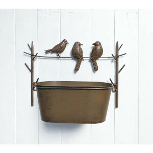 Aؔ  哯Ntg/o[hEH[v^[ I[o/MWP25-B20y01z[2] K[fjOE|pi t[|bg ACAEuL