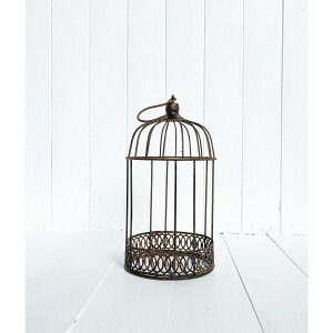 哯Ntg/AWP[WS uE/AAK25-S15y01z[2] X܃fBXvCEX X܃CeAEG (o[hQ[W)