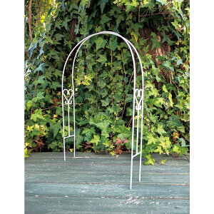 哯Ntg/25~jgX A[`A zCg/AYMT25-AWy01z[6] K[fjOE|pi K[ft@j`[EƋ eBXEtFX