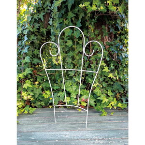 哯Ntg/25~jgX VF zCg/AYMT25-BWy01z[6] K[fjOE|pi K[ft@j`[EƋ eBXEtFX