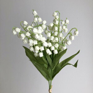 yԁzAXJ/XYoh(13{)×120@zCg/A-31547-1y01z ԁiA[eBtBVt[j  ԍށusv 