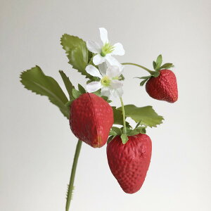 yԁzAXJ/Xgx[sbN@bh/A-23017-2y01z ԁiA[eBtBVt[j ԎAtFCNt[c EXgx[