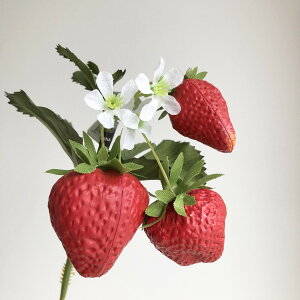 yԁzAXJ/Xgx[sbN@bh/A-23018-2y01z ԁiA[eBtBVt[j ԎAtFCNt[c EXgx[