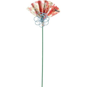 SG Wonder zone/sbNt/K900-011y07z[10{] ԎށEt[Xg t[sbN asbN