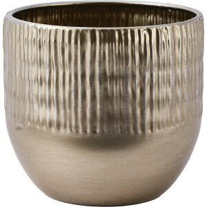 zCG/MC~`A[^GGG 12/3200034GGGy07z ԊA[X ԊEԕr uLEACA