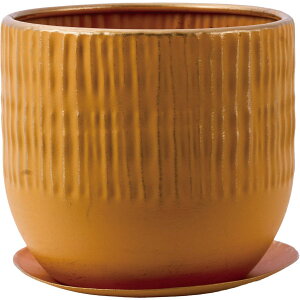 Aؔ  zCG/MC~`A[^eco|bgMt #3/3200041GSFy07z K[fjOE|pi t[|bg ACAEuL