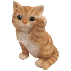 drawerplus/Charmmy `[~[W lR ^b`/72790y07z K[fjOE|pi K[fjOG݁EI[ig uEI[ig