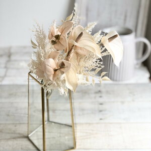 yԁzMAGIQ/uJAXEu[P CR^BE N[x[W/FM000423y01z ԁiA[eBtBVt[j  ԍށusv AX[