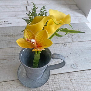   yԁz/J[oh/ZA005472y01z dp p  tďH~