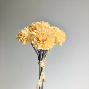 yԁzAXJ/||}ohi16{j CgIW/A-34240-30By01z ԁiA[eBtBVt[j  ԍށusv LNiejEs|}